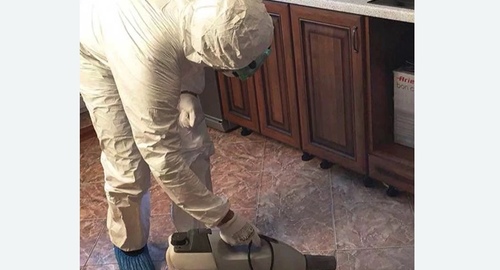 Уничтожение тараканов в квартире. Тольятти