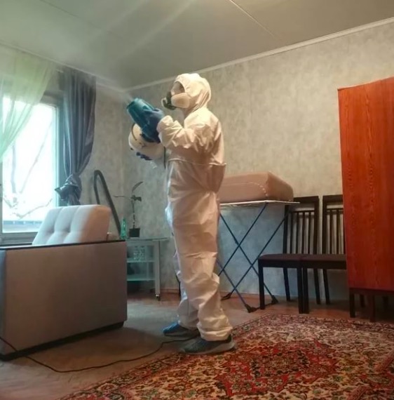 дезинсекция квартиры в Тольятти